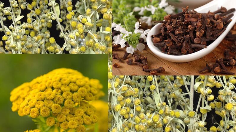 People's remedies for parasites