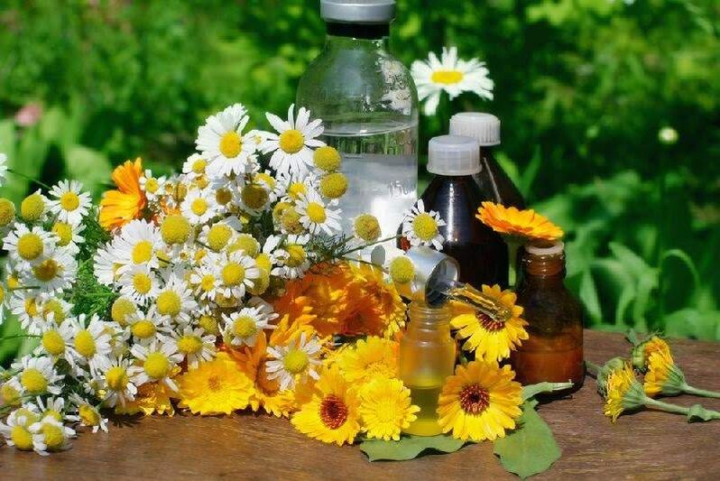 Remedy against parasites